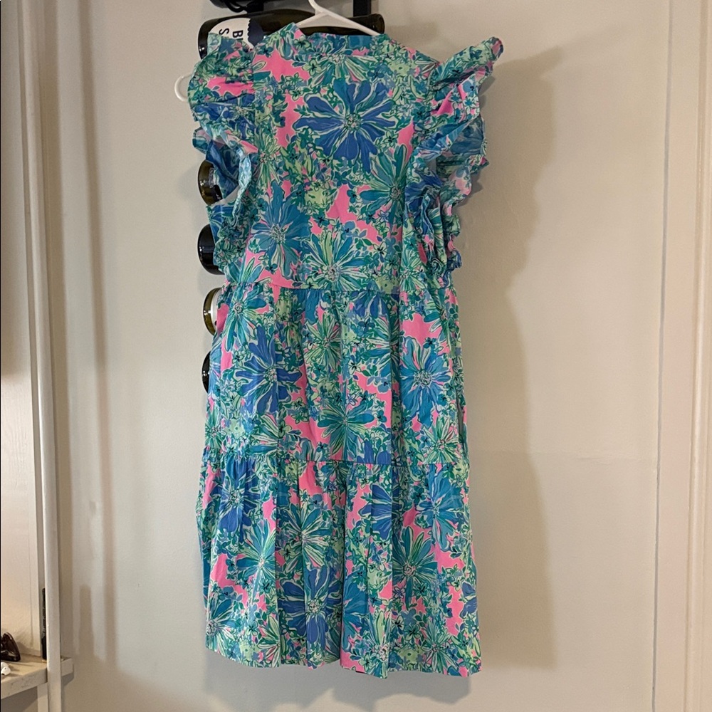 Lilly Pulitzer Blue and Pink Floral Dress - Picture 4 of 4